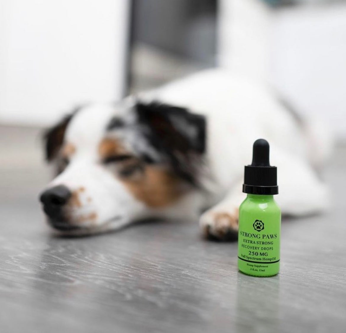 Strong Paws Blend (250mg or 1000mg)